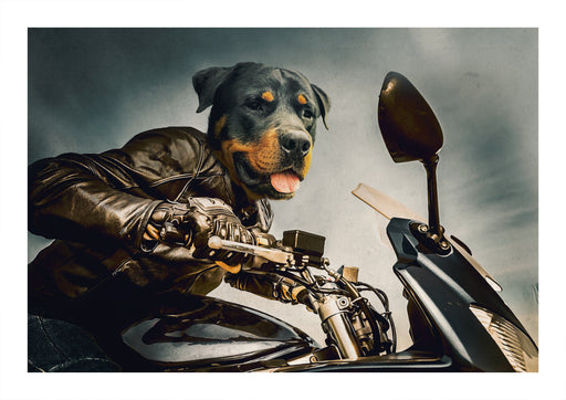 Pet Portrait Fine Art Print - Motorbike Rider - pet canvas art