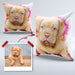 Pet Portrait Cushions Modern - pet canvas art